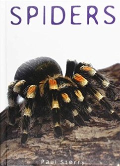 Spiders - Sterry, Paul