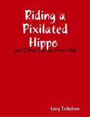 Riding a Pixilated Hippo and Other Stories from Hell (eBook, ePUB)