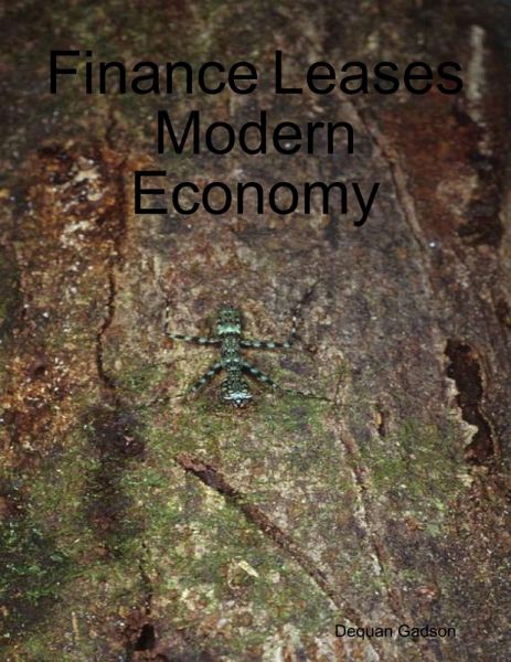 Finance Leases Modern Economy (eBook, ePUB)