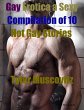 Gay Erotica a Sexy Compilation of 10... - Bild 1