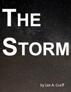 Cover The Storm (eBook, ePUB)