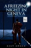 A Freezing Night in Geneva: Unforgettable Experiences