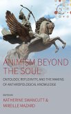 Animism beyond the Soul