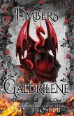 Embers at Galdrilene (Dragon's Call, #1) (eBook, ePUB)