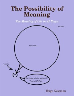 The Possibility of Meaning (eBook, ePUB) - Newman, Hugo