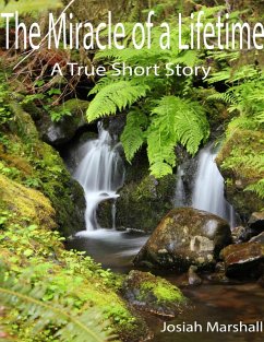 The Miracle of a Lifetime (eBook, ePUB) - Marshall, Josiah