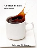 A Splash in Time (eBook, ePUB)