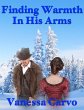 Finding Warmth In His Arms (eBook, ePUB) - Bild 1