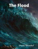 The Flood (eBook, ePUB)