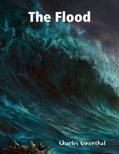 The Flood (eBook, ePUB) - Ginenthal, Charles