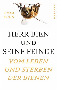 Herr Bien und seine Feinde (eBook, ePUB) - Koch, Timm