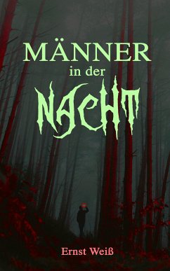 Männer in der Nacht (eBook, ePUB) - Weiß, Ernst