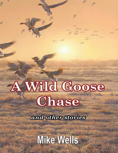 A Wild Goose Chase: And Other Stories (eBook, ePUB)