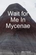 Wait for Me In Mycenae (eBook, ePUB) - Bild 1