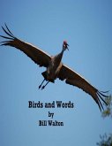 Birds and Words (eBook, ePUB)