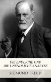 Die endliche und die unendliche Analyse (eBook, ePUB)