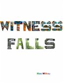 Witness Falls (eBook, ePUB)