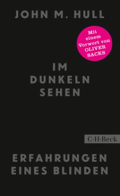 Im Dunkeln sehen - Hull, John M.