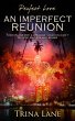 Imperfect Reunion (eBook, ePUB) - Bild 1