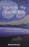 Where the Sky has No Stars (eBook, ePUB)