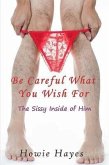 Be Careful What You Wish For (eBook, ePUB) Be Careful What You Wish For (eBook, ePUB)