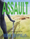 Assault (eBook, ePUB)