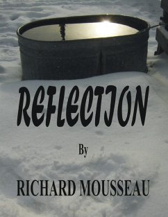 Cover Reflection (eBook, ePUB)