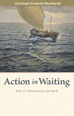 Action in Waiting (eBook, ePUB)