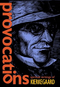 Cover Provocations (eBook, ePUB)
