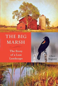 The Big Marsh (eBook, ePUB) - Register, Cheri