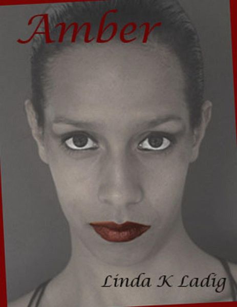 Amber (eBook, ePUB) Amber (eBook, ePUB)