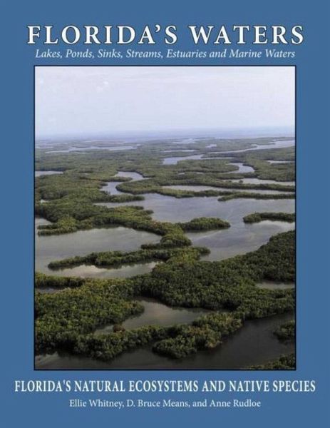 Florida's Waters (eBook, ePUB) Florida's Waters (eBook, ePUB)