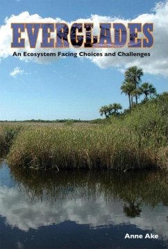 Everglades (eBook, ePUB) - Ake, Anne