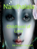 Nandhalala (eBook, ePUB)