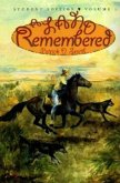 Land Remembered (eBook, ePUB)