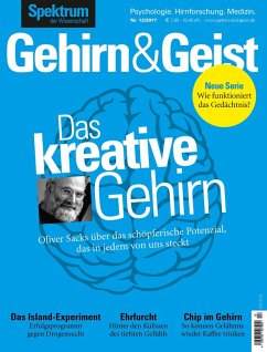 Cover Gehirn&Geist 12/2017 - Das kreative Gehirn (eBook, PDF)