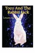 Toco and the Rabbit Jack (eBook, ePUB) - Bild 1