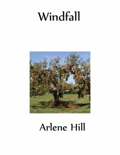Cover Windfall (eBook, ePUB)