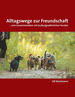Alltagswege zur Freundschaft - Reichmann, Ulli
