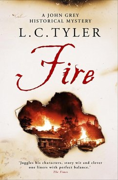 Fire (eBook, ePUB) - Tyler, L C