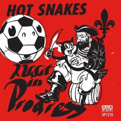 Audit In Progress - Hot Snakes Audit In Progress - Hot Snakes
