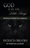 God is in the Little Things (eBook, ePUB)