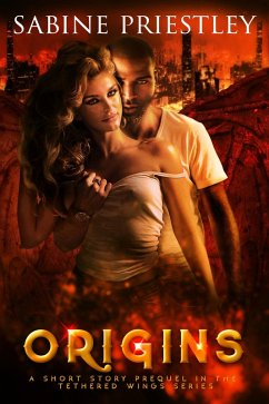 Cover Origins (Tethered Wings) (eBook, ePUB)