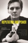 Reputation and Power (eBook, ePUB)