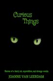 Curious Things (eBook, ePUB)