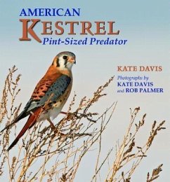 Cover American Kestrel (eBook, ePUB)