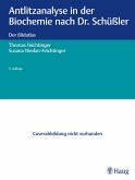 Antlitzanalyse in der Biochemie nach Dr. Schüßler (eBook, ePUB)