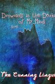 Drowning In The Darkness Of My Mind (eBook, ePUB)