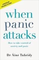 When Panic Attacks - Tubridy, Aine