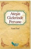 Atesin Gizlerinde Pervane